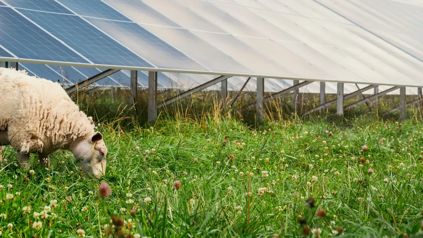 Renewable energy  for agriculture