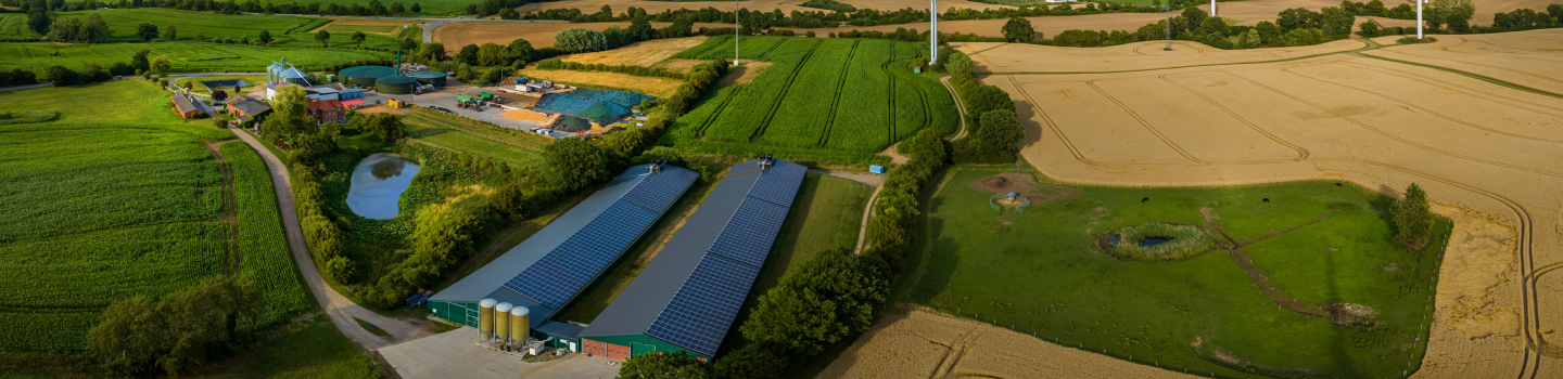 Ground-mounted solar panel array installed in a green farm pasture.
