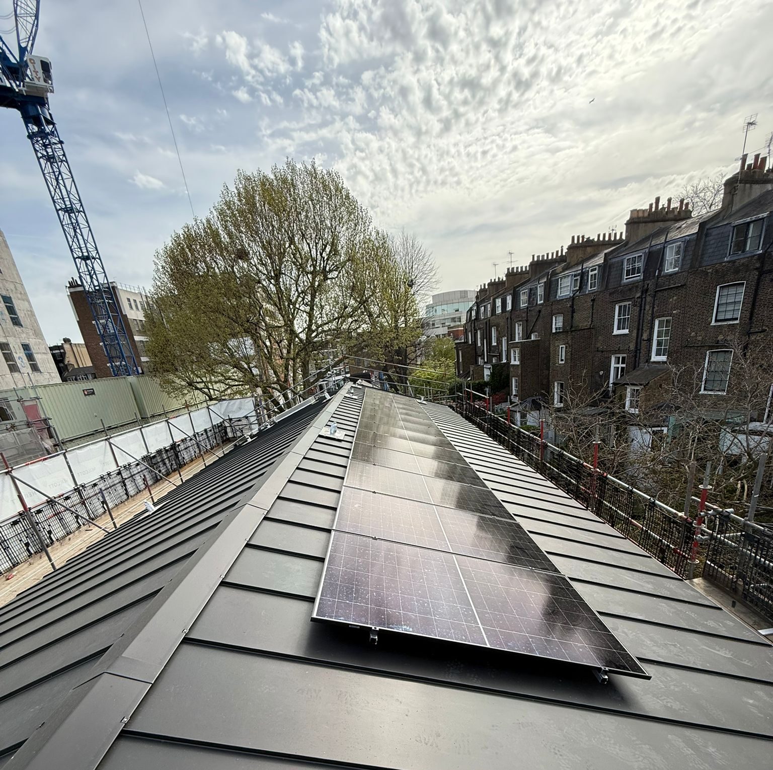 Perspective view down a line of rooftop solar panels on an urban building.
